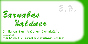 barnabas waldner business card